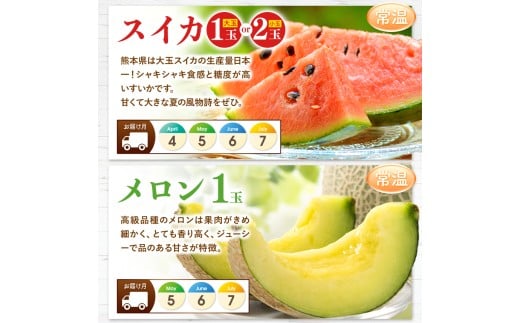 【 定期便 3回 】 まるごと 堪能 ！ 人気 フルーツ