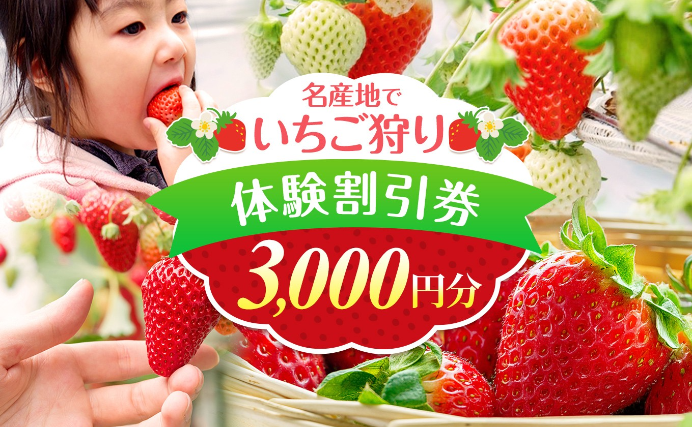 いちご狩り体験割引券