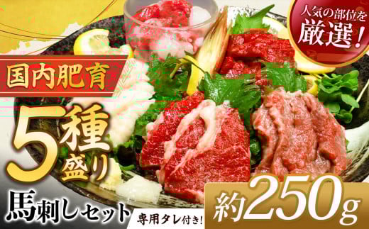 馬刺し 豪華 5種盛り約250g（50g×5P）専用タレ付き