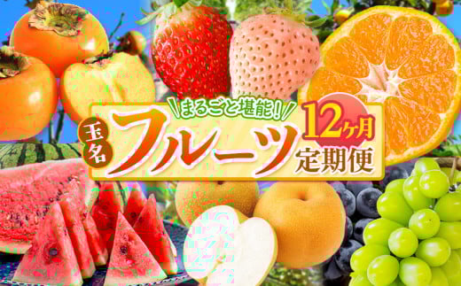 【 定期便 12回 】 まるごと 堪能 ！ 人気 フルーツ