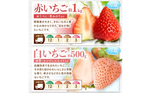 縲 螳壽悄萓ソ 7蝗 縲 縺セ繧九#縺ィ 蝣ェ閭ス シ 莠コ豌 繝輔Ν繝シ繝