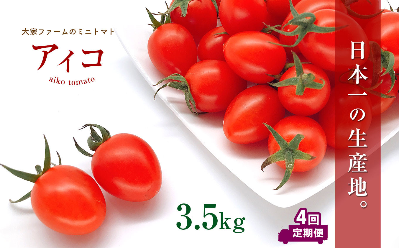 【定期4回】『大家ファーム』のミニトマト アイコ 3.5kg×4回