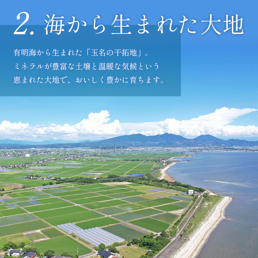 縲主、ァ螳カ繝輔ぃ繝シ繝縲上ョ繝溘ル繝医槭ヨ 繧「繧、繧ウ 2kg 辭頑悽逵檎脂蜷
