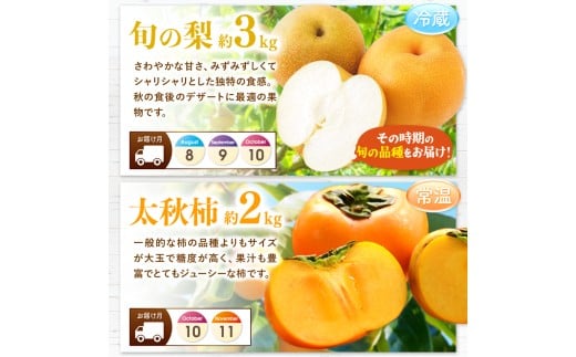 【 定期便 3回 】 まるごと 堪能 ！ 人気 フルーツ