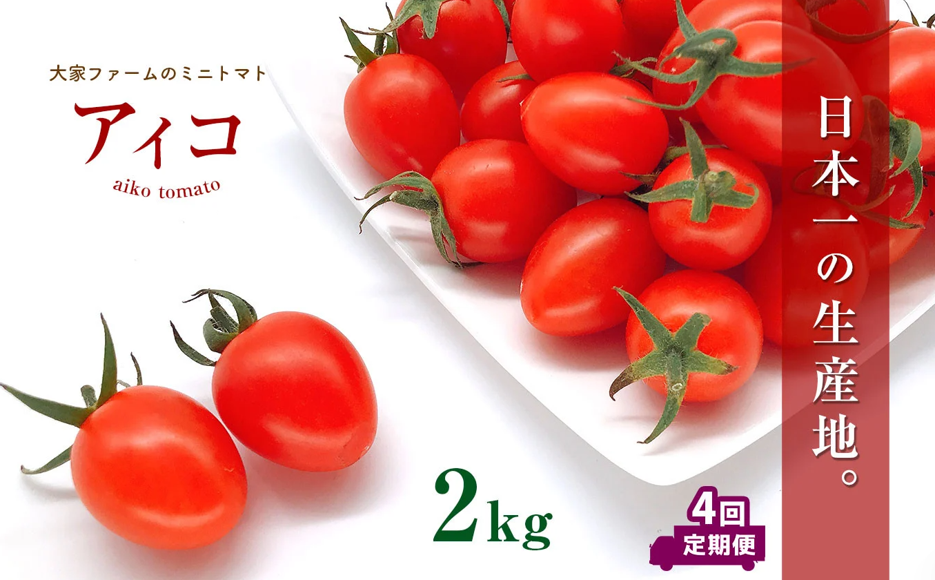 【定期4回】『大家ファーム』のミニトマト アイコ 2kg×4回