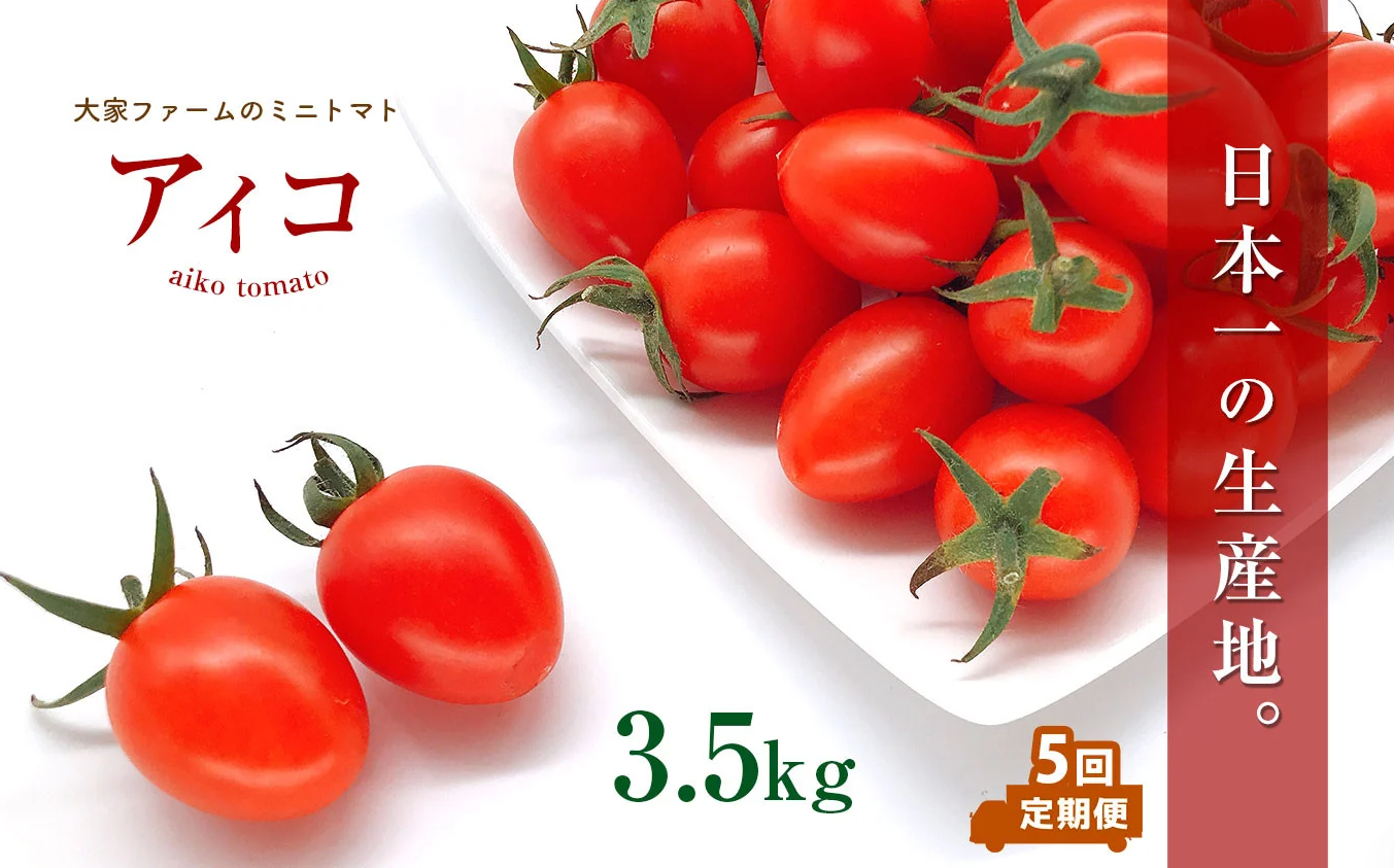 【定期5回】『大家ファーム』のミニトマト アイコ 3.5kg×5回