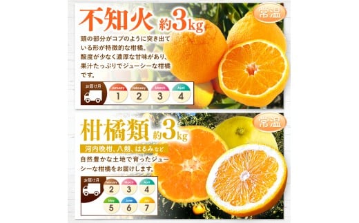 縲 螳壽悄萓ソ 10蝗 縲 縺セ繧九#縺ィ 蝣ェ閭ス シ 莠コ豌 繝輔Ν繝シ繝