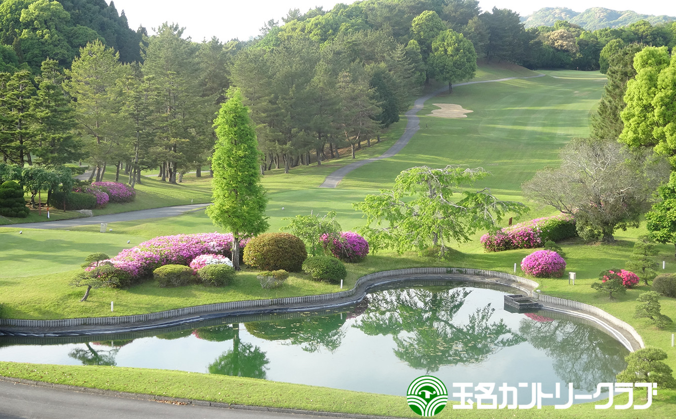 çåã«ã³ããªãŒã¯ã©ãã忥ç¥ãã¬ãŒãã±ããïŒ1ååïŒ