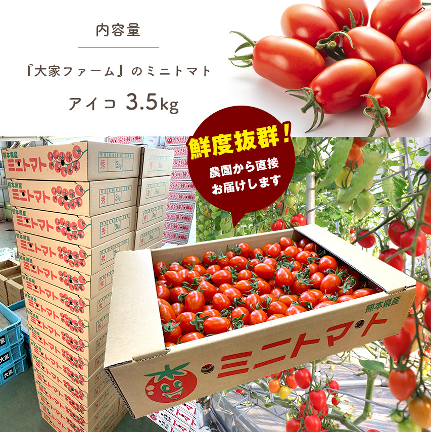 縲主、ァ螳カ繝輔ぃ繝シ繝縲上ョ繝溘ル繝医槭ヨ 繧「繧、繧ウ 3.5kg 辭頑悽逵檎脂蜷