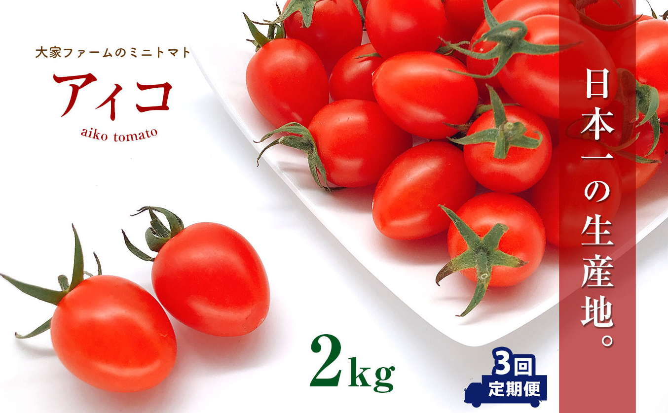 【定期3回】『大家ファーム』のミニトマト アイコ 2kg×3回