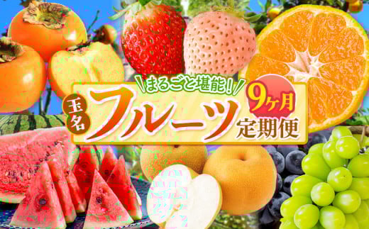 【 定期便 9回 】 まるごと 堪能 ！ 人気 フルーツ