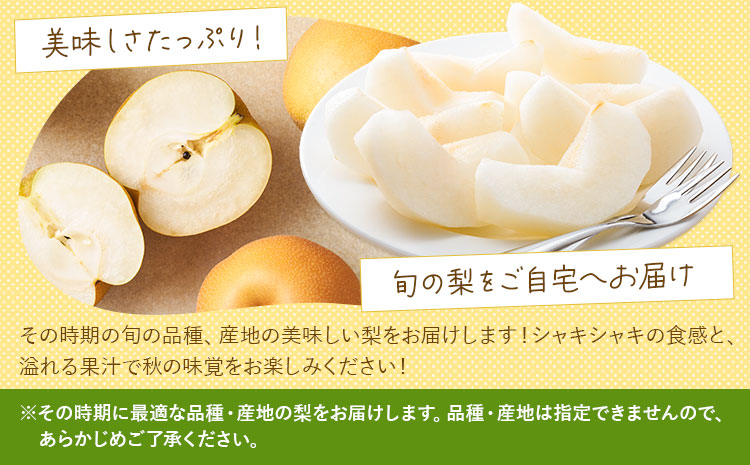 縲仙郁。御コ育エ縲第「ィ 險ウ縺ゅj譴ィ 邏5kg 譬ェ蠑丈シ夂、セFoody窶冱縲2026蟷エ8譛井ク区流-10譛井ク区流鬆蜃コ闕キ縲九↑縺 蜥梧「ィ 繝輔Ν繝シ繝 譫懃黄 縺泌ョカ蠎ュ逕ィ 荳肴純縺 繧ュ繧コ縺ゅj 闖頑ア蟶ら肇 辭頑悽逵檎肇 荵晏キ樒肇
