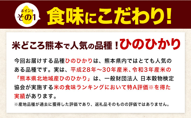縲3繝カ譛亥ョ壽悄萓ソ縲台サ、蜥7蟷エ逕」 辟。豢礼アウ 20kg 邀ウ 縺イ縺ョ縺イ縺九j縲翫♀逕ウ霎シ縺ソ鄙梧怦縺九i蜃コ闕キ縲狗頑悽逵 闖頑ア蟶 蝗ス逕」 辭頑悽逵檎肇 逋ス邀ウ 邊セ邀ウ 辟。豢礼アウ 騾∵侭辟。譁 繝偵ヮ繝偵き繝ェ 縺薙a 縺顔アウ