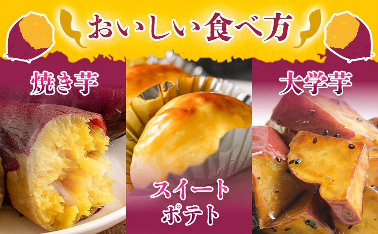 ãã€ãŸãã çæ¬çç£ çŽ
ã¯ãã 5kg æ¥æ¬ãã«ãŒãæ ªåŒäŒç€Ÿã11æäžæ¬-6æäžæ¬é åºè·ãçæ¬ç èæ± åž ãã€ãŸãã è©æ©è ãããã çŽ
ã¯ãã ãã¶ãŒã æç ãã〠èè éè è ãã