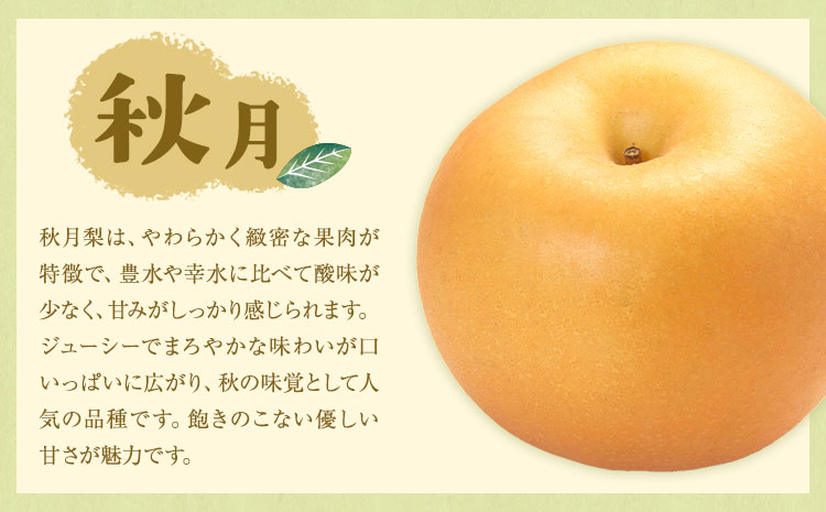 【先行予約】旬の梨 品種おまかせ 約10kg 日本フルーツ株式会社《2026年8月上旬-10月上旬頃出荷》熊本県 菊池市 梨 なし 豊水 秋月 新高 和梨 熊本県産