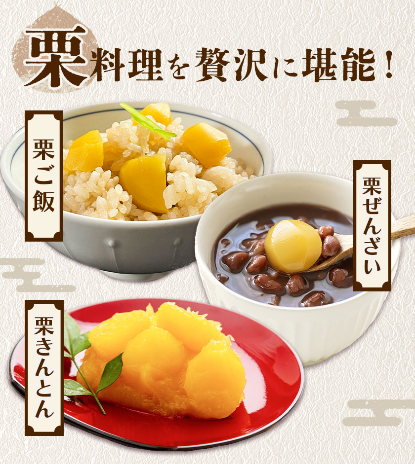 【先行予約】栗 約5kg 2Lサイズ 日本フルーツ株式会社《9月中旬-10月上旬頃出荷》熊本県 菊池市 栗 くり 熊本県産 2L 栗きんとん 栗ごはん