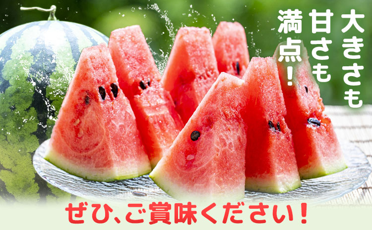 【先行予約】大玉すいか 2玉(約10kg) 日本フルーツ株式会社《4月下旬-7月下旬頃出荷》熊本県 菊池市 すいか スイカ 大玉 熊本県産