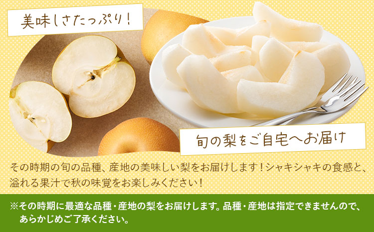 【先行予約】梨 訳あり梨 約4kg-4.5kg(10-18玉) 《2026年8月下旬-10月下旬頃出荷》 株式会社Foody’s なし 和梨 フルーツ 果物 ご家庭用 不揃い キズあり 菊池市産 熊本県産 九州産