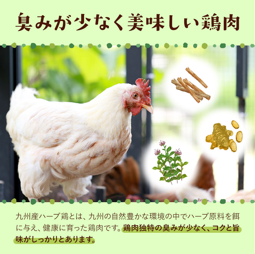 ãéæ6åå®æäŸ¿ãä¹å·ç£ ããŒãé¶ ã¢ã¢è 2.5kgÃ6å æ€ç°åäºæéäŒç€Ÿ ããç³ã蟌ã¿ã®ç¿æããåºè·ã çæ¬ç èæ± åž é¶è ããè ãè ãããã 芪å䞌 ããã³ã«ã¬ãŒ ç
®ç© ãµã©ãããã³ å·å åœç£ éæç¡æ