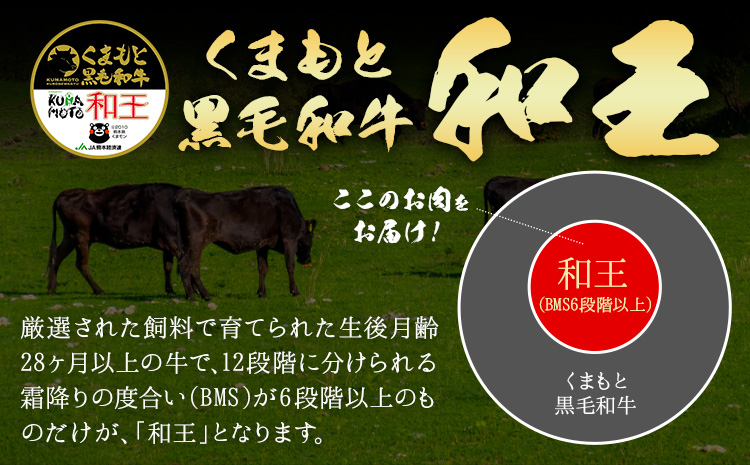 熊本県産A5等級和王 柔らか赤身焼肉 1.2kg 帝神志方ミート株式会社《90日以内に出荷予定(土日祝除く)》熊本県 菊池市 牛肉 肉 お肉 和牛 くまもと黒毛和牛 熊本県産 A5 和王 赤身 赤身肉 柔らか 厳選 焼肉