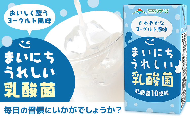 常温保存可能【1ヶ月毎3回定期便】まいにちうれしい 乳酸菌 ヨーグルト風味 250ml×24本 計72本 合同会社たべたせいか《お申し込みの翌月から出荷》熊本県 菊池市 紙パック ヨーグルト飲料 乳酸菌 ドリンク 飲み物 飲料 常温保存 国産 熊本県産