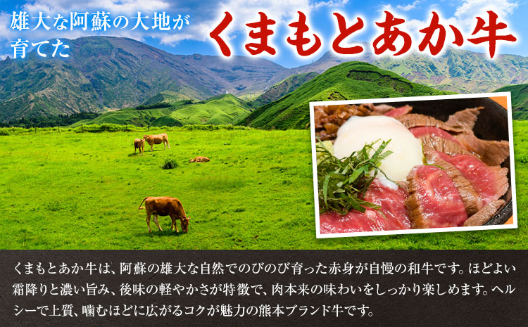 くまもとあか牛 ステーキ＆ハンバーグセット ステーキ2個 ハンバーグ4個 有限会社草佳苑《30日以内に出荷予定(土日祝除く)》熊本県 菊池市 肉 牛肉 お肉 和牛 あか牛 熊本県産 冷凍