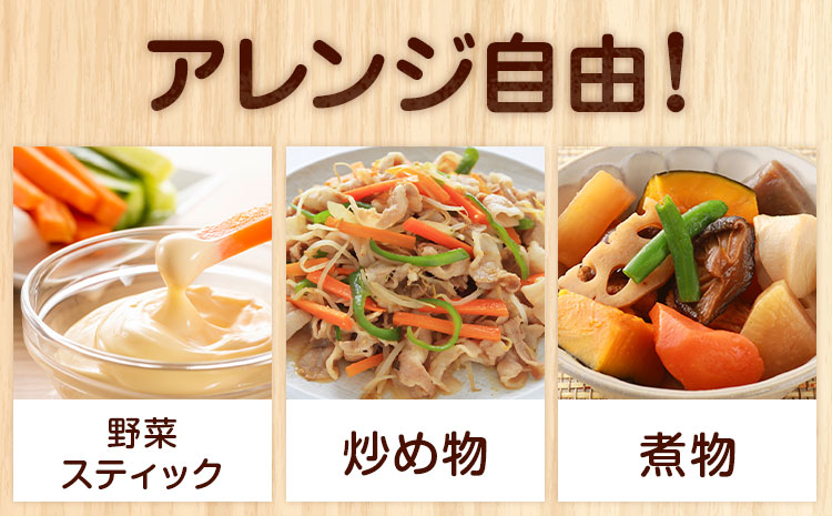 【先行予約】人参 約10kg(35-65本) 日本フルーツ株式会社《2026年4月上旬-6月上旬頃出荷》熊本県 菊池市 にんじん ニンジン 野菜 熊本県産