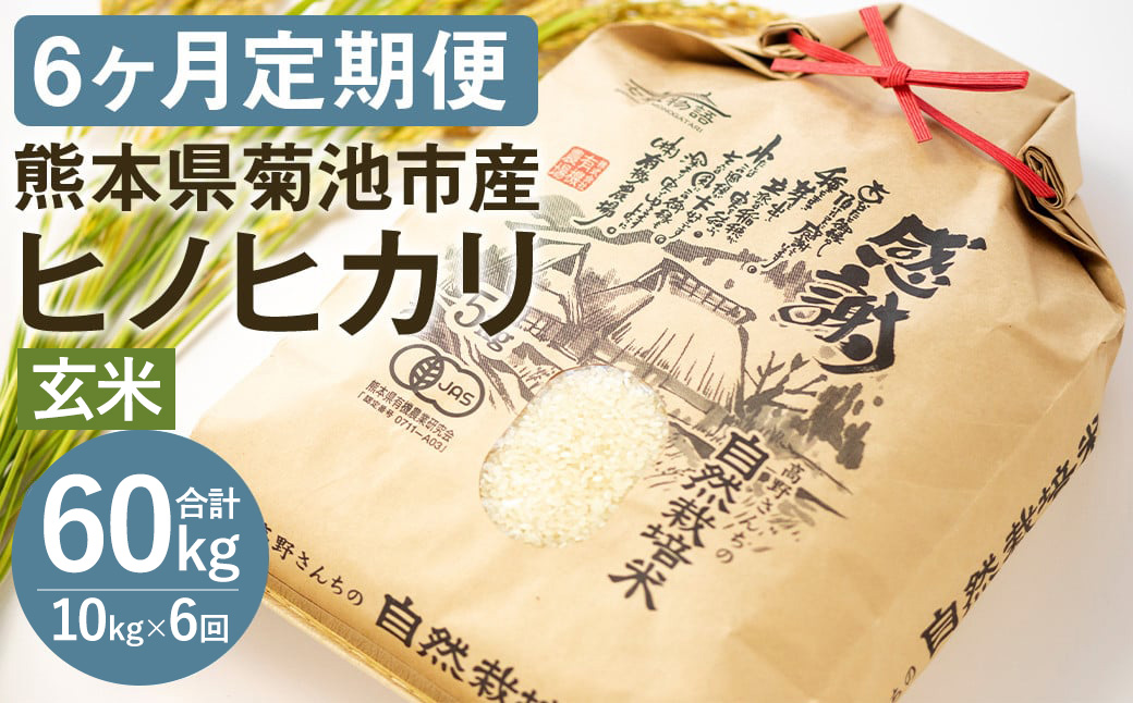 【6ヶ月定期便】熊本県 菊池産 ヒノヒカリ 玄米 10kg 真空パック 令和7年産《お申込みの翌月から発送予定》七城物語 高野さんちの自然栽培米 米 お米 自然栽培米 特A 国産 九州産 熊本県産 送料無料