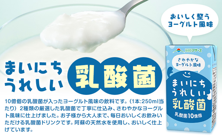 常温保存可能【1ヶ月毎3回定期便】まいにちうれしい 乳酸菌 ヨーグルト風味 250ml×24本 計72本 合同会社たべたせいか《お申し込みの翌月から出荷》熊本県 菊池市 紙パック ヨーグルト飲料 乳酸菌 ドリンク 飲み物 飲料 常温保存 国産 熊本県産