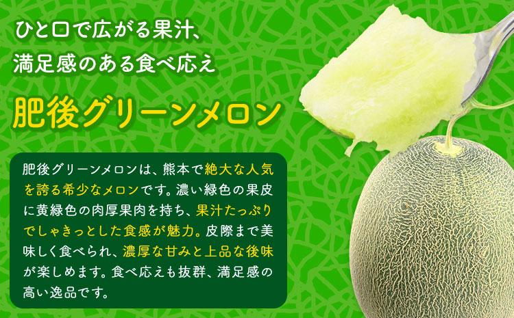 小玉スイカ&肥後グリーンメロン 食べ比べ 各2玉(計4玉 約7kg)  日本フルーツ株式会社 《5月中旬-7月末頃出荷》 熊本県 菊池市 西瓜 メロン 熊本県産