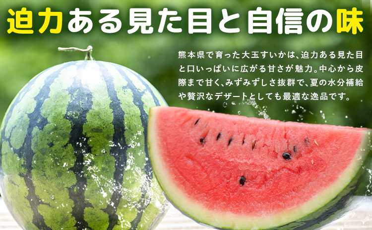 【先行予約】大玉すいか 2玉(約10kg) 日本フルーツ株式会社《4月下旬-7月下旬頃出荷》熊本県 菊池市 すいか スイカ 大玉 熊本県産