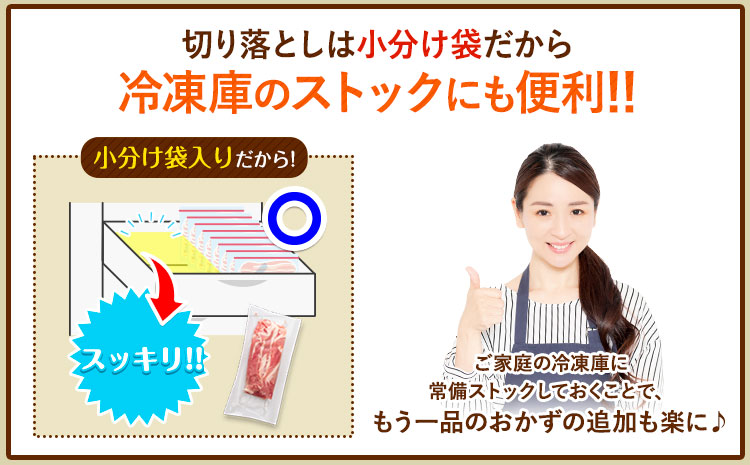 豚肉 切り落とし 1.5kg 焼肉いしい 株式会社石井牧場《30日以内に出荷予定(土日祝除く)》 熊本県 菊池市 肉 豚肉 焼肉 切り落とし 生姜焼き 肉じゃが