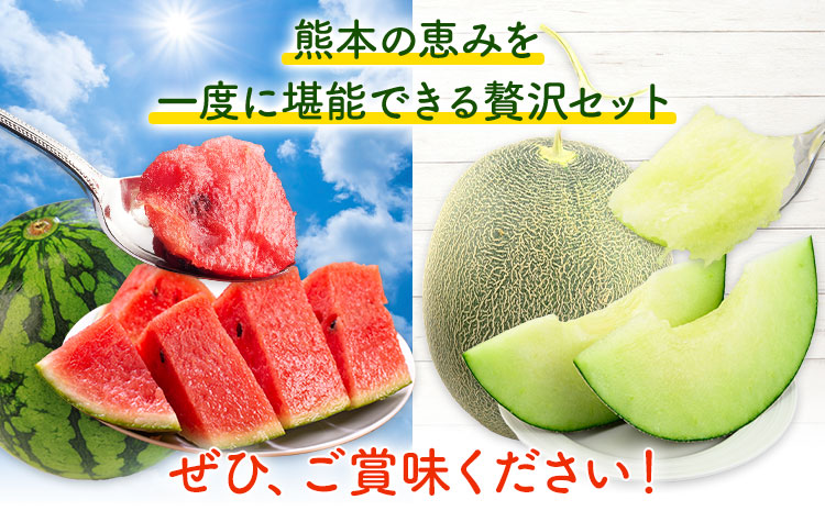 小玉スイカ&肥後グリーンメロン 食べ比べ 各2玉(計4玉 約7kg)  日本フルーツ株式会社 《5月中旬-7月末頃出荷》 熊本県 菊池市 西瓜 メロン 熊本県産