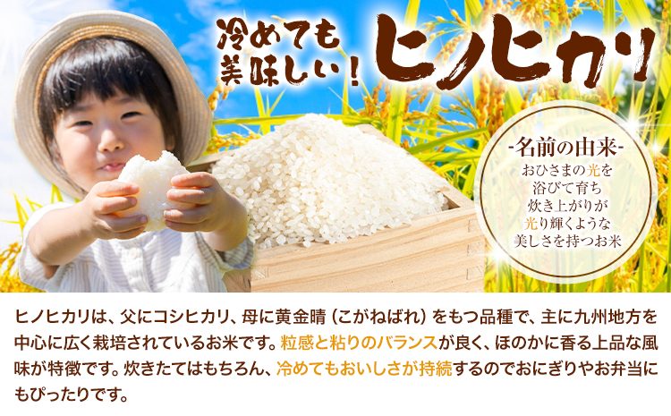 ã12åå®æäŸ¿ãã€ãããã¡ãŒã ã®ãããã«ãªå®æäŸ¿ èªç¶ãããã«ãªå®æäŸ¿ èªç¶æ œå¹ç±³ ãããã«ãª 5kg æ ªåŒäŒç€Ÿäžåã®æµã¿ãç³èŸŒæã®ç¿æããåºè·éå§ãçæ¬ç èæ± åž ç±³ ã²ã®ã²ãã å®æäŸ¿ ã€ãããã¡ãŒã