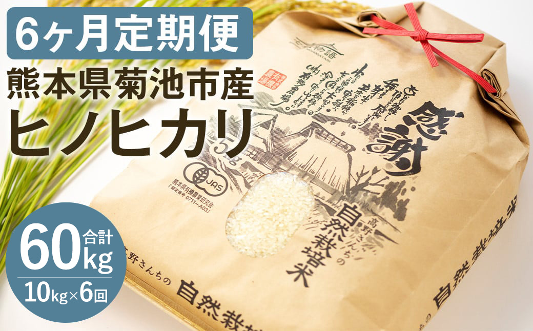 【6ヶ月定期便】熊本県 菊池産 ヒノヒカリ 白米 10kg 真空パック 令和7年産《お申込みの翌月から発送予定》七城物語 高野さんちの自然栽培米 精米 米 お米 自然栽培米 特A 国産 九州産 熊本県産 送料無料