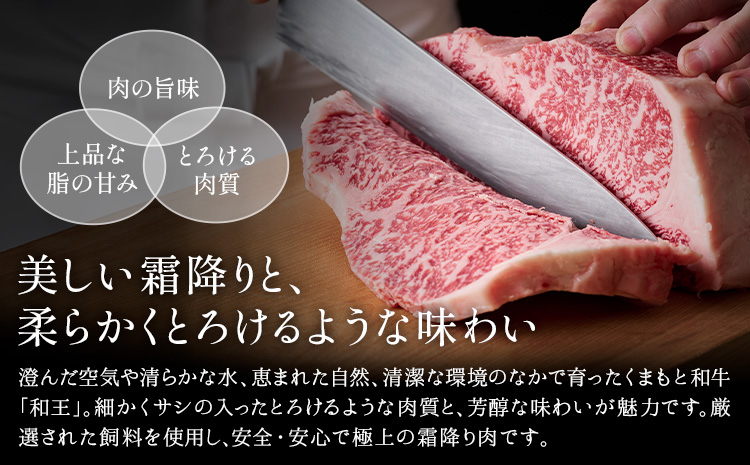 熊本県産A5等級和王 柔らか赤身焼肉 1.2kg タレ付き 2本 帝神志方ミート株式会社《90日以内に出荷予定(土日祝除く)》熊本県 菊池市 牛肉 肉 お肉 和牛 くまもと黒毛和牛 熊本県産 A5 和王 赤身 赤身肉 柔らか 厳選 焼肉 志方のたれ