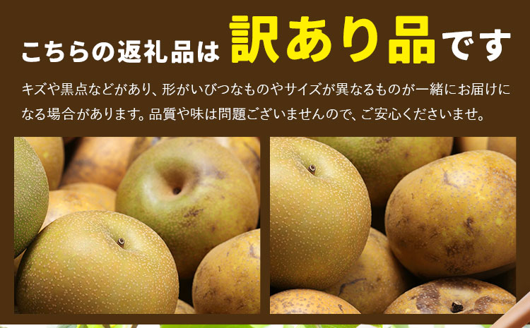 縲仙郁。御コ育エ縲第「ィ 險ウ縺ゅj譴ィ 邏5kg 譬ェ蠑丈シ夂、セFoody窶冱縲2026蟷エ8譛井ク区流-10譛井ク区流鬆蜃コ闕キ縲九↑縺 蜥梧「ィ 繝輔Ν繝シ繝 譫懃黄 縺泌ョカ蠎ュ逕ィ 荳肴純縺 繧ュ繧コ縺ゅj 闖頑ア蟶ら肇 辭頑悽逵檎肇 荵晏キ樒肇