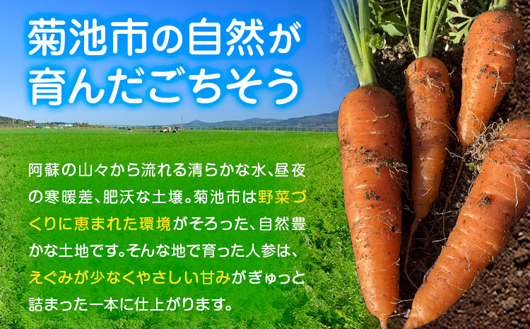 【先行予約】人参 約10kg(35-65本) 日本フルーツ株式会社《2026年4月上旬-6月上旬頃出荷》熊本県 菊池市 にんじん ニンジン 野菜 熊本県産