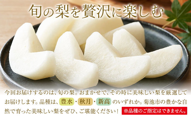 【先行予約】旬の梨 品種おまかせ 約10kg 日本フルーツ株式会社《2026年8月上旬-10月上旬頃出荷》熊本県 菊池市 梨 なし 豊水 秋月 新高 和梨 熊本県産