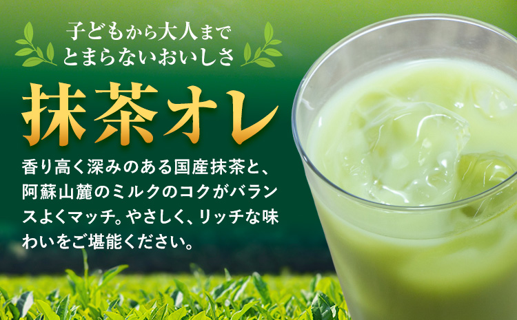 【6ヶ月定期便】250ml×24本／月×6回（計144本） 抹茶・オ・レ 合同会社たべたせいか《お申し込みの翌月から出荷》 抹茶オーレ 抹茶オレ 抹茶ミルク 抹茶 抹茶 乳製品 乳飲料 クロレラ 飲み物 飲料 常温保存 お取り寄せ 国産抹茶 熊本県産 菊池市 送料無料