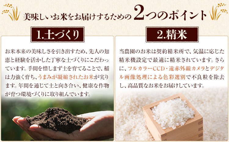 七城のお米 にこまる 5kg 通常パッケージ 白米 精米 令和7年産 堀田農場《30日以内に出荷予定(土日祝除く)》お米 熊本県 菊池市 熊本県産 九州産 送料無料
