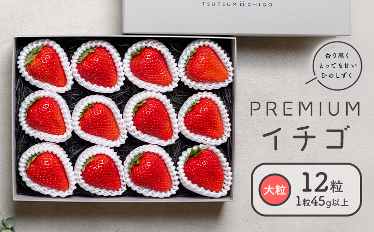 PREMIUMイチゴ 12玉 1玉45g以上 ひのしずく いちご イチゴ 苺《2026年1月発送予定》ヴァリアス株式会社 果物 くだもの フルーツ 希少 ギフト プレゼント 贈り物 国産 九州産 熊本県 菊池市 送料無料