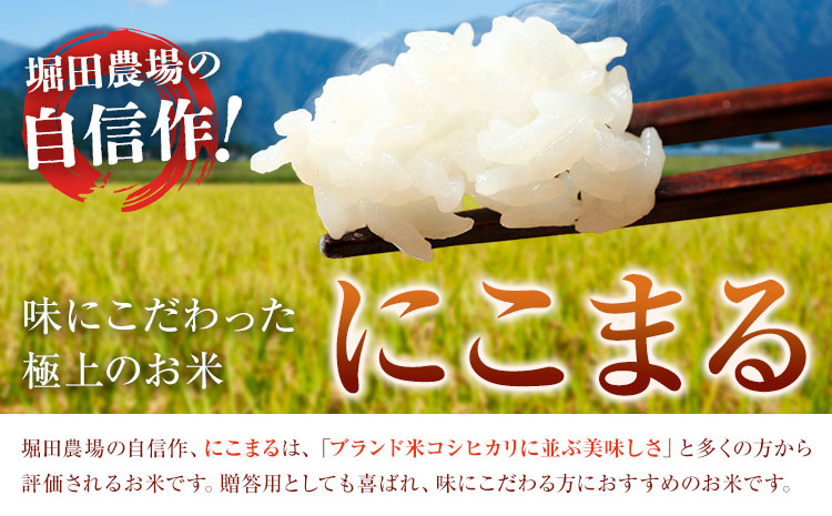七城のお米 にこまる 5kg 通常パッケージ 白米 精米 令和7年産 堀田農場《30日以内に出荷予定(土日祝除く)》お米 熊本県 菊池市 熊本県産 九州産 送料無料