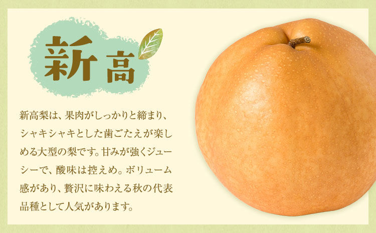 【先行予約】旬の梨 品種おまかせ 約3kg 日本フルーツ株式会社《2026年8月上旬-10月上旬頃出荷》熊本県 菊池市 梨 なし 豊水 秋月 新高 和梨 熊本県産