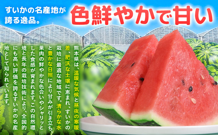 【先行予約】大玉すいか 2玉(約10kg) 日本フルーツ株式会社《4月下旬-7月下旬頃出荷》熊本県 菊池市 すいか スイカ 大玉 熊本県産