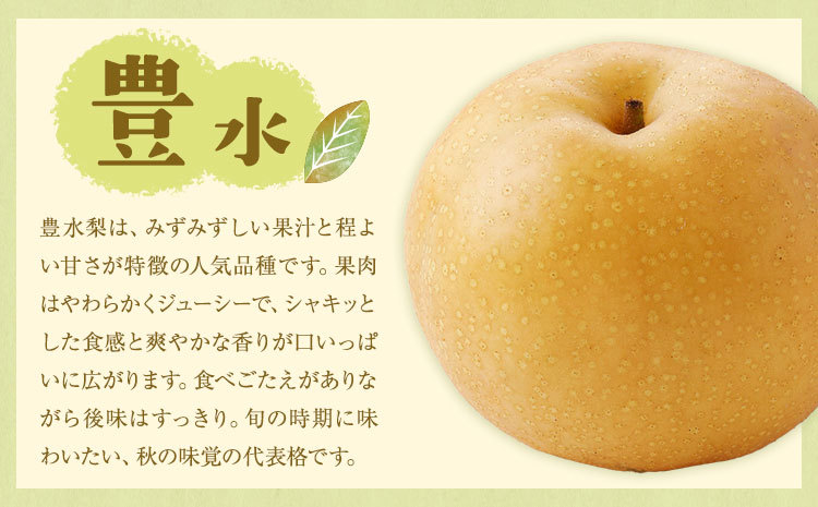 【先行予約】旬の梨 品種おまかせ 約10kg 日本フルーツ株式会社《2026年8月上旬-10月上旬頃出荷》熊本県 菊池市 梨 なし 豊水 秋月 新高 和梨 熊本県産