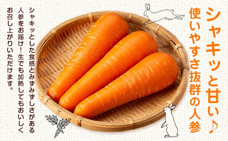 【先行予約】人参 約10kg(35-65本) 日本フルーツ株式会社《2026年4月上旬-6月上旬頃出荷》熊本県 菊池市 にんじん ニンジン 野菜 熊本県産