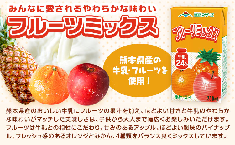 常温保存可能 フルーツミックス 250ml×48本 合同会社たべたせいか《30日以内に出荷予定(土日祝除く)》熊本県 菊池市 ミックスジュース らくのうマザーズ フルーツ牛乳 フルーツ ジュース 紙パック ジュース ドリンク