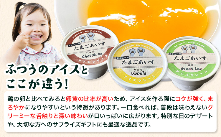 エミューのたまごアイス 8個入り エミュー観光牧場 《30日以内に出荷予定(土日祝除く)》 熊本県 菊池市 卵 たまご エミュー 食用卵 アイス デザート 国産 熊本県産 産地直送 送料無料