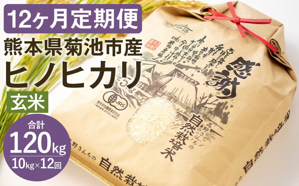 【12ヶ月定期便】熊本県 菊池産 ヒノヒカリ 玄米 10kg 真空パック 令和7年産《お申込みの翌月から発送予定》七城物語 高野さんちの自然栽培米 米 お米 自然栽培米 特A 国産 九州産 熊本県産 送料無料